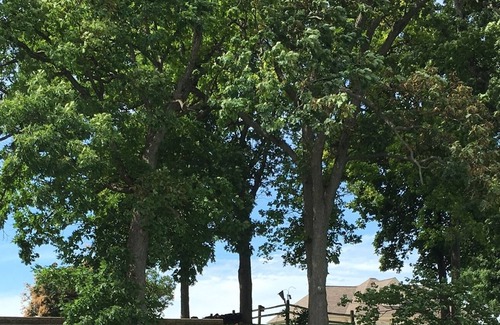 Howe Cabine | Nature, Amish country and Notre Dame- the perfect combination