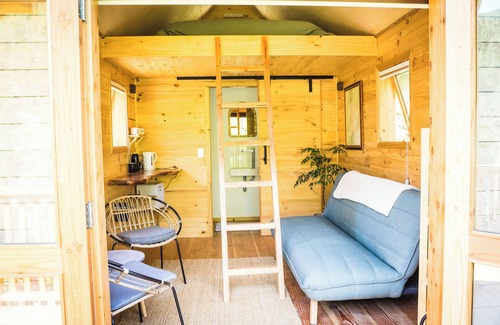 Nelson Region Cabine | Nature based cabins 10mins from Nelson Group friendly 4 cabins & 2 bedroom house