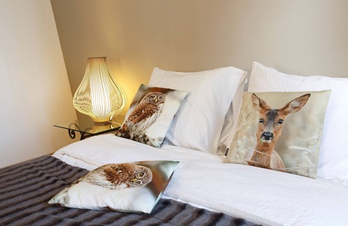 Chinon Appartement | Nature & Chateaux, Gite "Chenonceau "