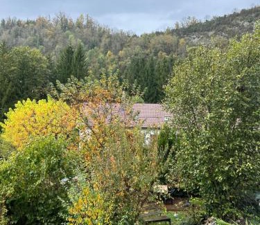 Bourg-de-Sirod Appartement | Nature et Découvertes 1 ch