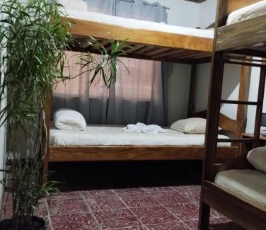 Monteverde Maison | Nature house