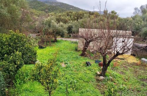 Milia Appartement | Nature House Vlatos