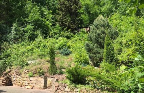Melsungen Maison | Nature Living - Ferienhaus mit Kamin - Feuerschale - Garten - mit beheizbarem Gartenwhirlpool