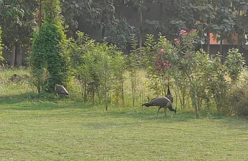 Sarnath Appartement | Nature Resort