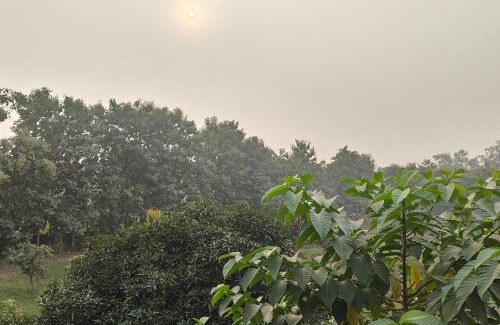 Sarnath Appartement | Nature Resort