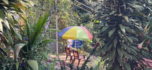 Yercaud Hôtel | Nature's cradle resort