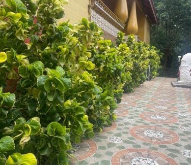 Yercaud Hôtel | Nature's cradle resort