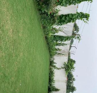 Varanasi Maison | Nature's property