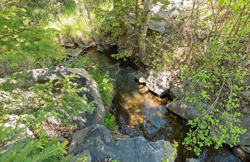 Hill City Maison | Nature Stay with Views Like No Where Else