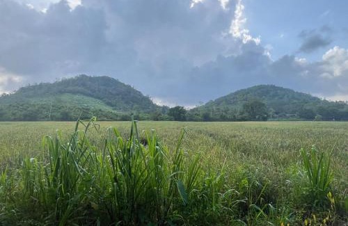 Welivitiya-Divithura Maison | Natures Nook Homestay