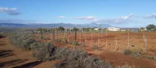 Route 62 Maison | Natures Rest Lapa