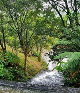 Barao Maison | Natureza e conforto em um só lugar