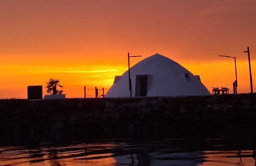 Aveiro Location De Bateaux | Natureza ,experiência a 5 minutos de Aveiro