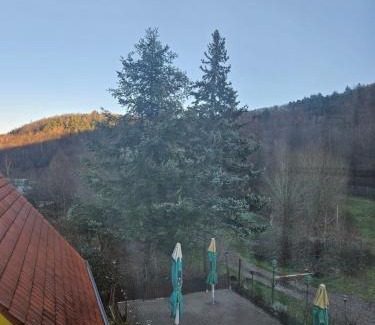 Annweiler am Trifels Hôtel | Naturfreundehaus