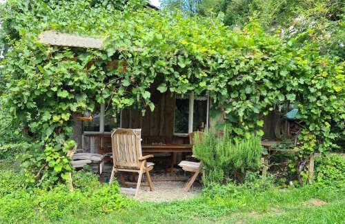 Kradolf-Schonenberg Appartement | Naturoase Säntisblick-Auszeit am Wald und Bach
