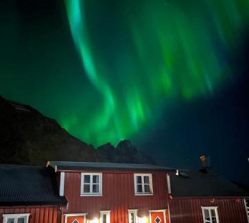 Ballstad Appartement | Naustplassen Rorbuer