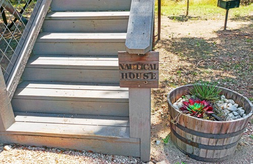 Dripping Springs Cabine | Stay in a Tree House! | Unique Dripping Springs Getaway