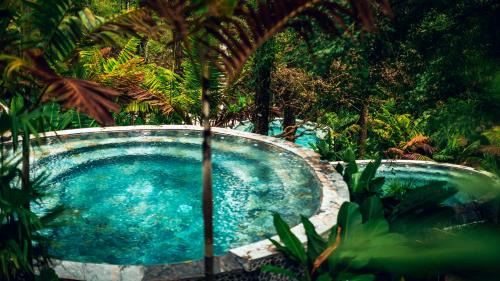 Palma Autre | Nayara Tented Camp