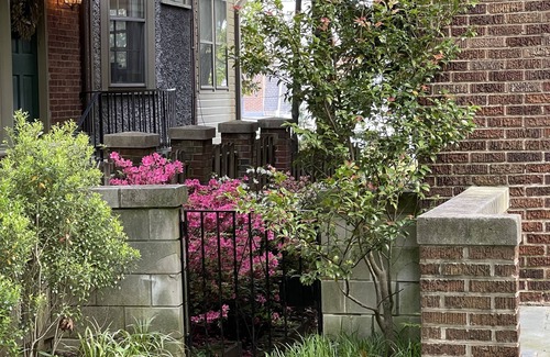Forest Hills Appartement | Big and Comfy in Forest Hills\Cleveland Park by the Metro & Zoo! King Size Bed!