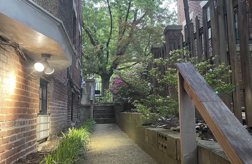 Forest Hills Appartement | Big and Comfy in Forest Hills\Cleveland Park by the Metro & Zoo! King Size Bed!