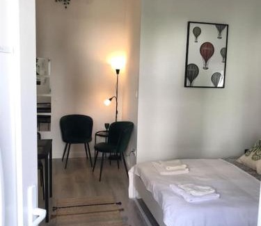 Istvanmezo Appartement | Near City park only 5 minutes walk , where you can find the world famous Szechenyi thermal bath spa, Capital Circus , Museums The apartment is modern and newly renovated ,in a quiet and peaceful green Oasis with AC ,smart TV, high speed internet