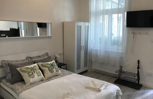 Istvanmezo Appartement | Near City park only 5 minutes walk , where you can find the world famous Szechenyi thermal bath spa, Capital Circus , Museums The apartment is modern and newly renovated ,in a quiet and peaceful green Oasis with AC ,smart TV, high speed internet