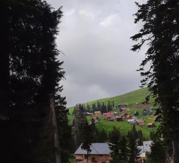 Bakhmaro Chalet De Ski | Near the forest