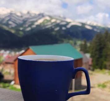 Bakhmaro Chalet De Ski | Near the forest