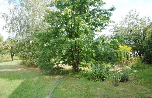Jessen Maison | Brouillard vacances - Vacances dans le verger