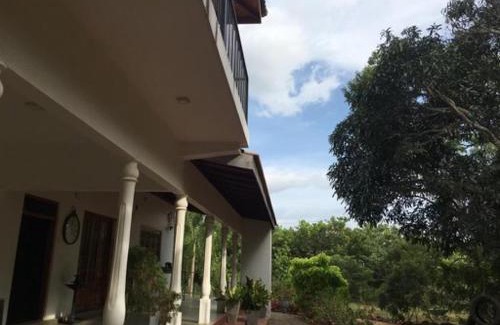 Pallama Maison | Neem Tree Villa