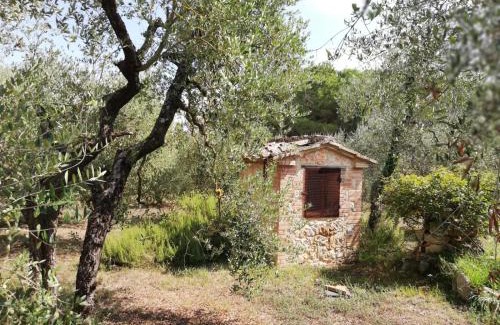 Colle di Val d'Elsa Appartement | Nel Chianti lungo la Francigena