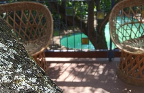 Nelspruit Hôtel | NELSPRUIT MHLANGENI GUEST HOUSE