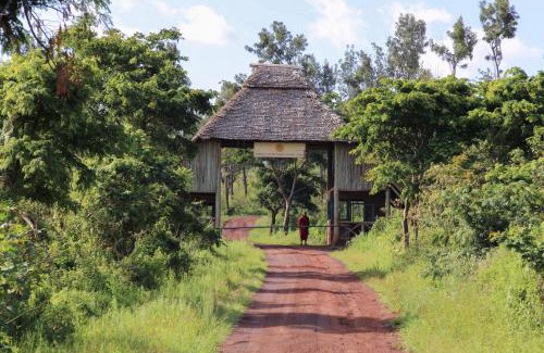 Ngorongoro Conservation Area Station Balnéaire | Neptune Ngorongoro Luxury Lodge - All Inclusive