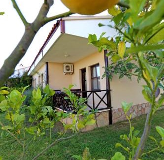 Cirali Hôtel | Nerissa Hotel