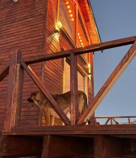 Kabaduz Chalet De Ski | Nest Çambaşı Bungalow Ordu