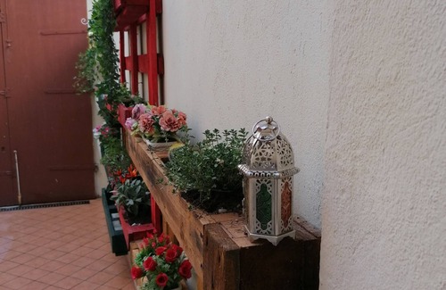 San Damiano dʼAsti Appartement | Nest of Love