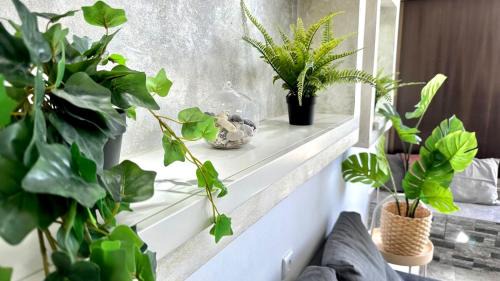 Haifa Appartement | Nest on the beach Resort Apart