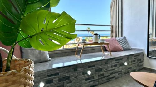Haifa Appartement | Nest on the beach Resort Apart