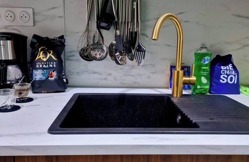 Saint-Etienne Appartement | Netflix Bergson & stade guichard & Cité du Design & zénith de Saint-Étienne