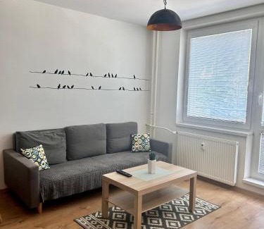 Banska Bystrica Appartement | Netflix & WiFi FREE Dvojizbový byt blízko centra - 24h self check-in