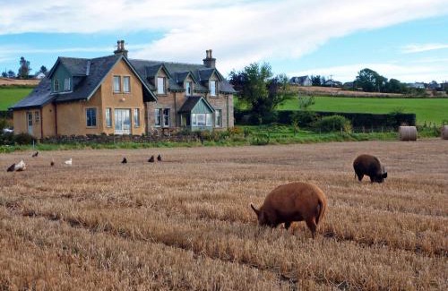 Culbokie Lit Et Petit-Déjeuner | Netherton Farm B&B