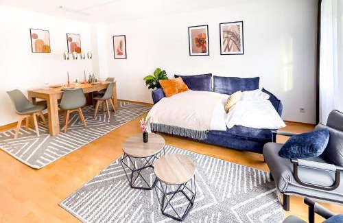 Innenstadt - Sankt Ulrich-Dom Appartement | NEU - Zentrum, 3 Zi, free Tiefgarage, smart TV, WLAN
