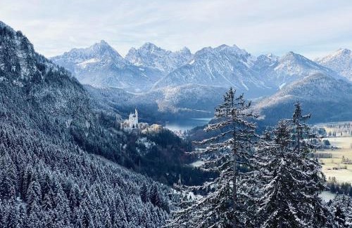 Buching Appartement | Neubauwohnung Edelweiß im Allgäu