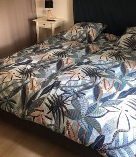 Truyes Maison | Neuf Tout confort Ideal Chateaux Zoo Futuroscope