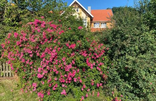 Vethem Appartement | Neulandhof Spöring