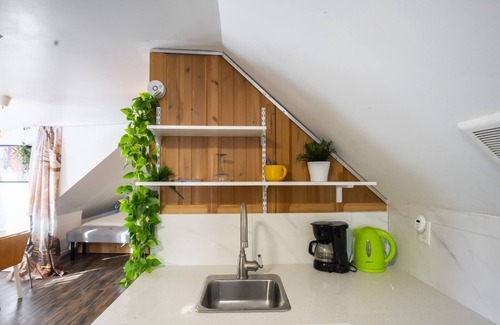 East Flushing Appartement | NEW!1000 sf Studio Loft! w/ Access to an Outdoor Kitchen Patio & Rooftop Terrace