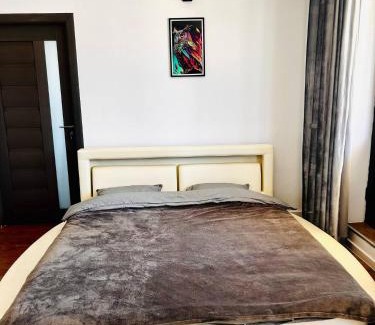 Voluntari Appartement | NEW 1BR Apartment w Parking and Fast Wi-fi