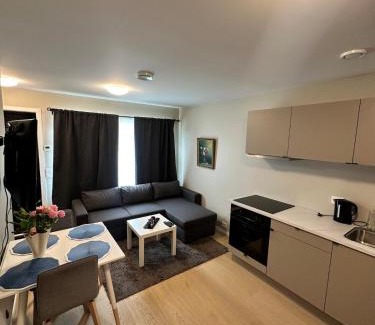 Hamresanden Appartement | New and bright studio near Kristiansand Zoo and Kjevik airport