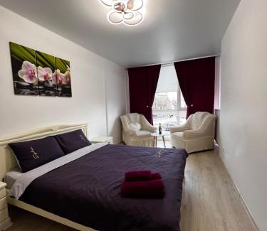 Kosuv Stary Appartement | New Apartment