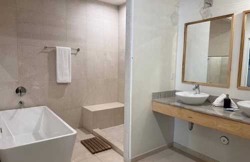 Downtown Tucson Hôtel | The Zebra Suite at Unicorn Zebra